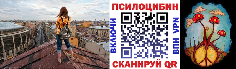 Галлюциногенные грибы прущие грибы  Скопин 